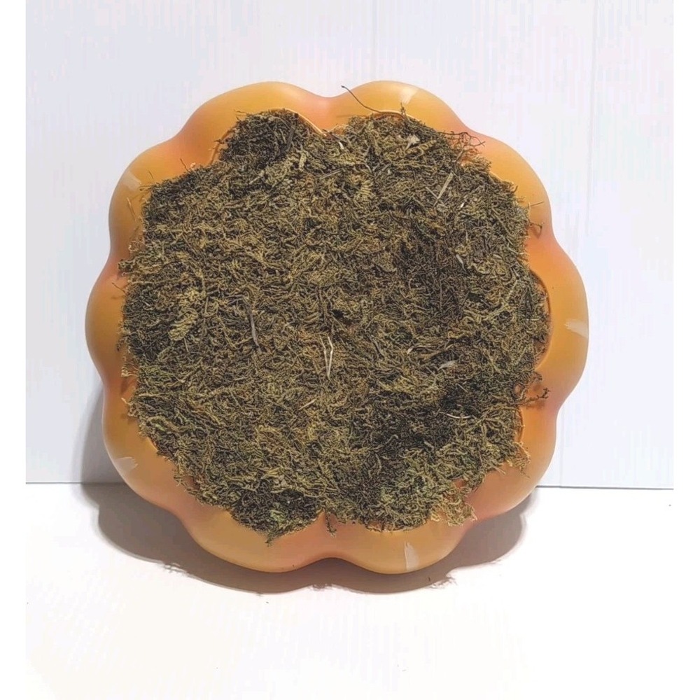 Target Bullseye Playground Fall Halloween 2023 Pumpkin & Moss Platform 9" x3 UA1